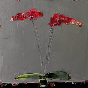 Orchid against Deep Grey, Alison McWhirter, Greengallery