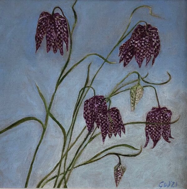 Fritillaria, Gill Wilson, Greengallery
