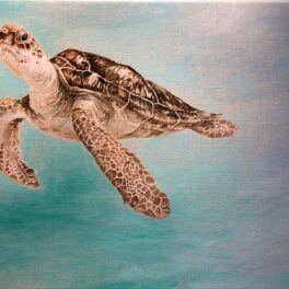 Sea Turtle by Gill Wilson