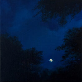 Summer moon rising by Nichol Wheatley