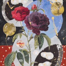 French Rose by Colin Brown