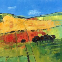Dyke Dividing Up Fields by Tom Sutton-Smith