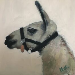 Llama by Jane Blair