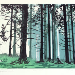 Silent Woods by Johann Booyens