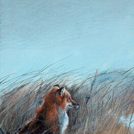 Penny by Amanda Buchanan Hutchison