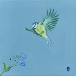 Bluetit and Forget-me-not by Sheila Anderson-Hardy