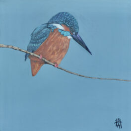 Kingfisher by Sheila Anderson-Hardy