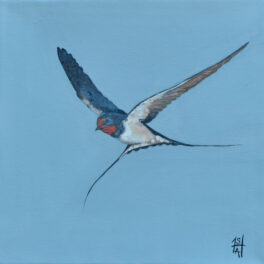 Swallow by Sheila Anderson-Hardy