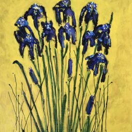 Black Irises by Claire MacLellan