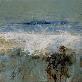 The North Shore by John McClenaghen