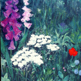Foxgloves in a Meadow by Jean Hall