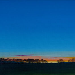 A Cold Clean Dawn at Gairney Bank by Nichol Wheatley