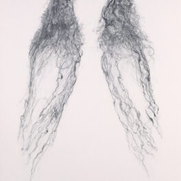 Ethereal Wings by Margaretann Bennett RSW