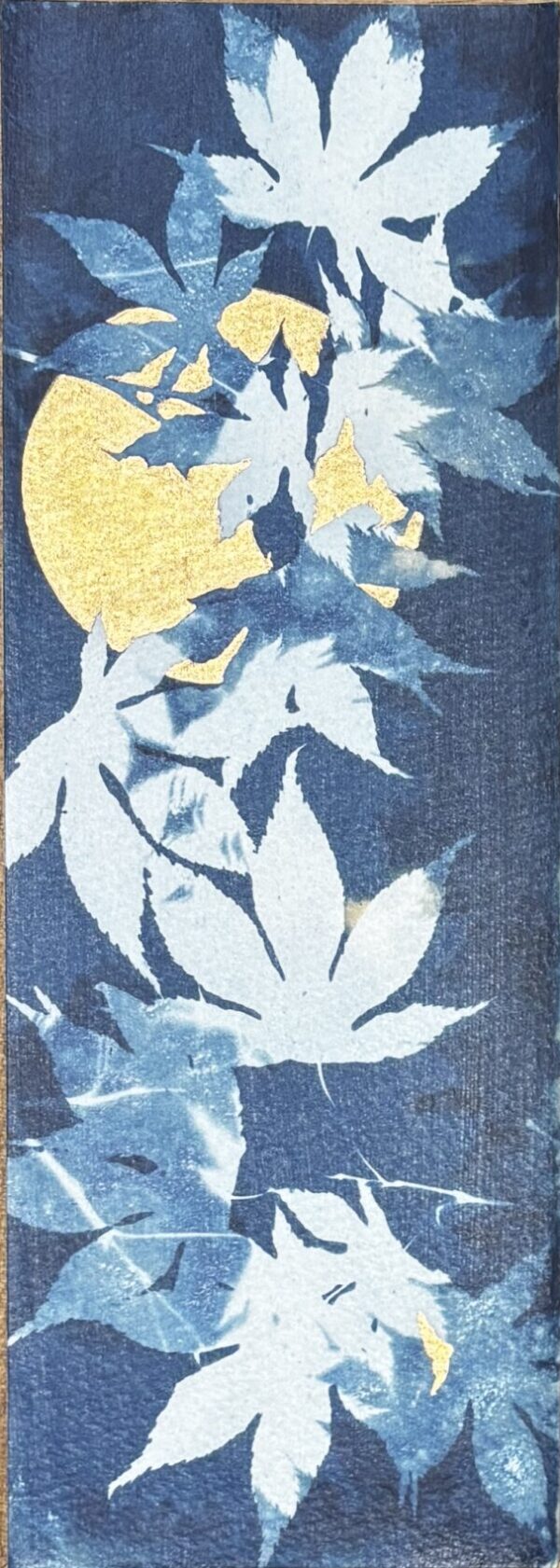 Katherine Gallacher, Acer in Shadow 2, 4in x11in, 14.5in x 7.5in, Cyanotype and gold oil paint, £175