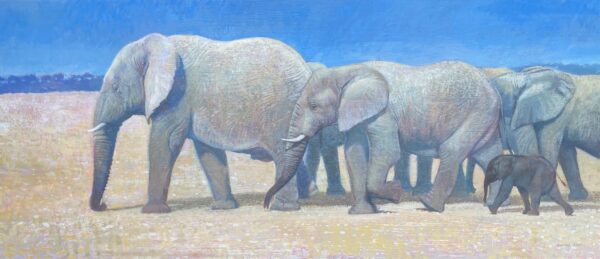Etosha Elephants
