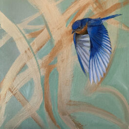 Be a Blue Bird by Gillian Westland