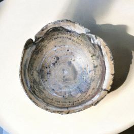 Various Ceramics by Seatree Argyll