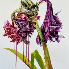 Work by Dorothy Black
