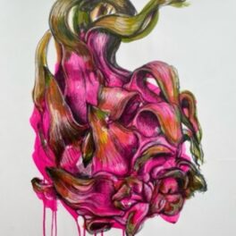 Dragonfruit by Dorothy Black