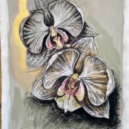 Fleshy by Dorothy Black