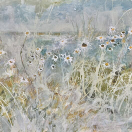 Daisies in a Salt Sea Spray by John McClenaghen