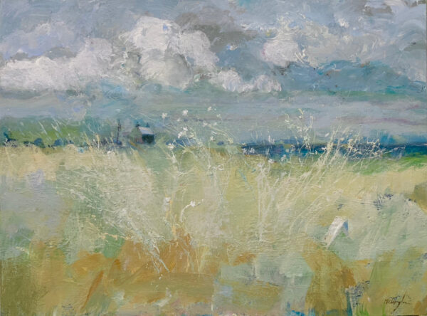 Windswept Coast